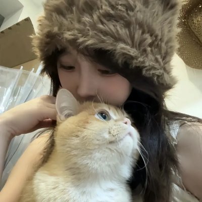 派特森与芬达猫4
